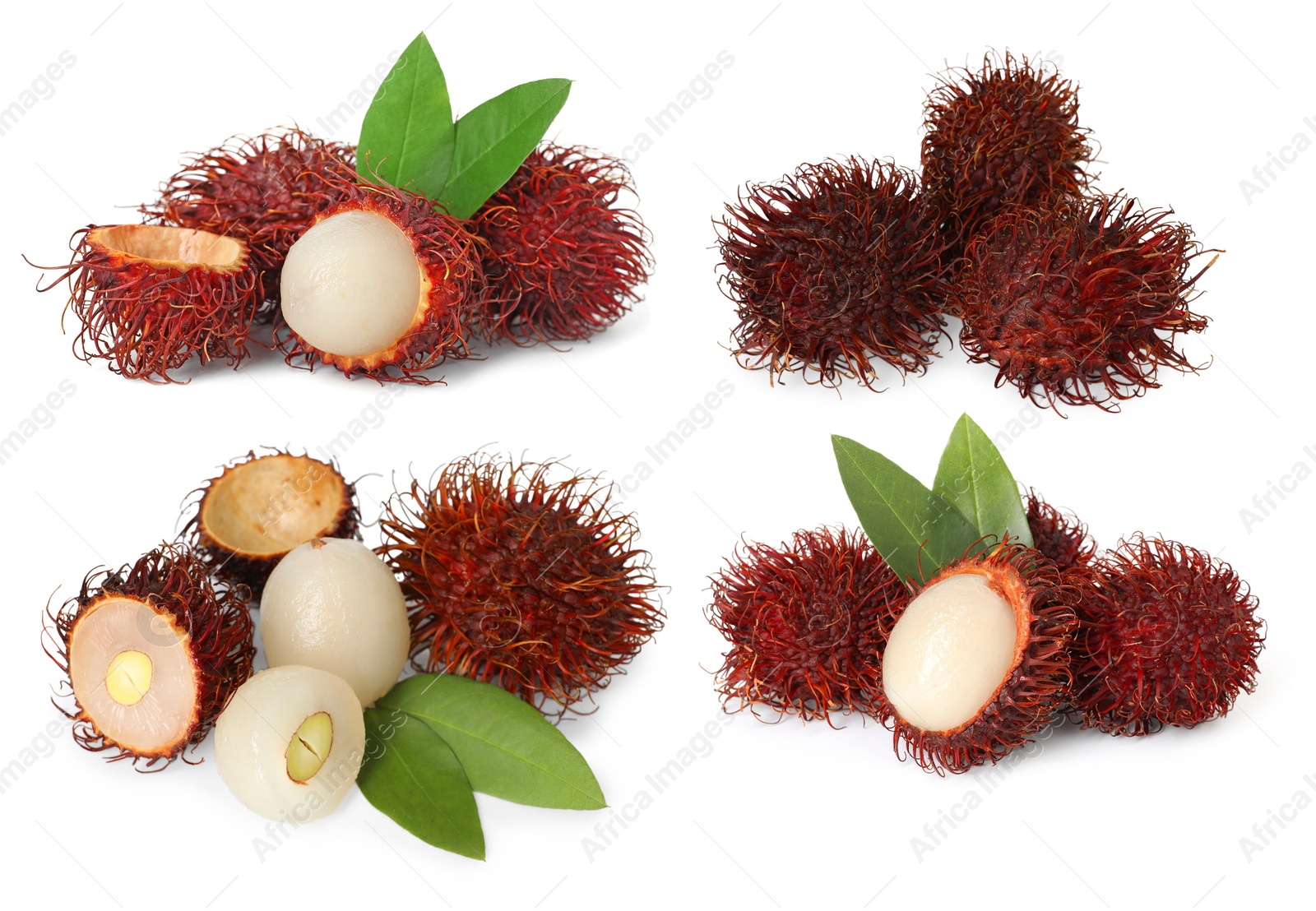 Image of Fresh tropical rambutan fruits and green leaves isolated on white, set