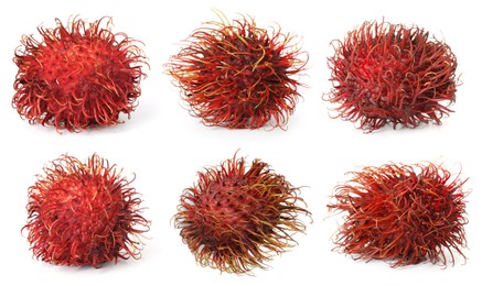 Image of Fresh unpeeled rambutan fruits isolated on white, set