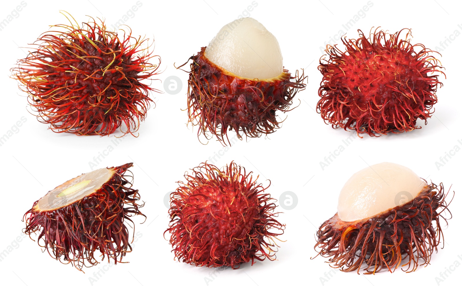 Image of Fresh tropical rambutan fruits isolated on white, set