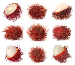 Image of Fresh tropical rambutan fruits isolated on white, set