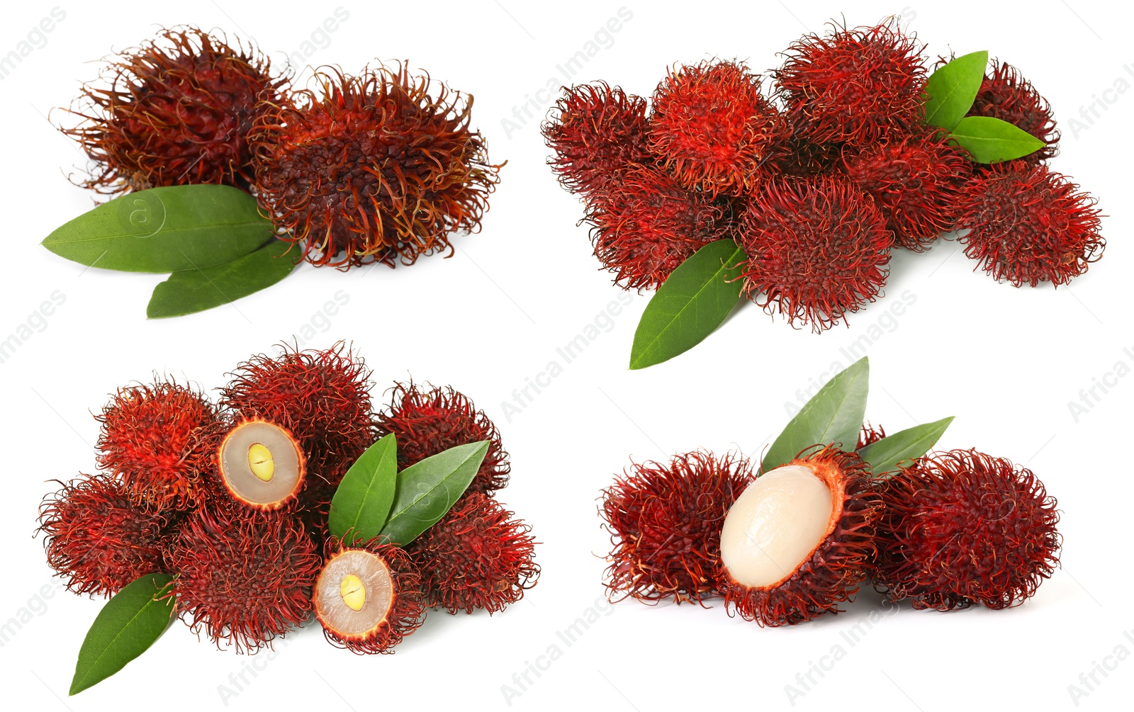 Image of Fresh tropical rambutan fruits and green leaves isolated on white, set