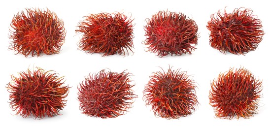 Image of Fresh unpeeled rambutan fruits isolated on white, set