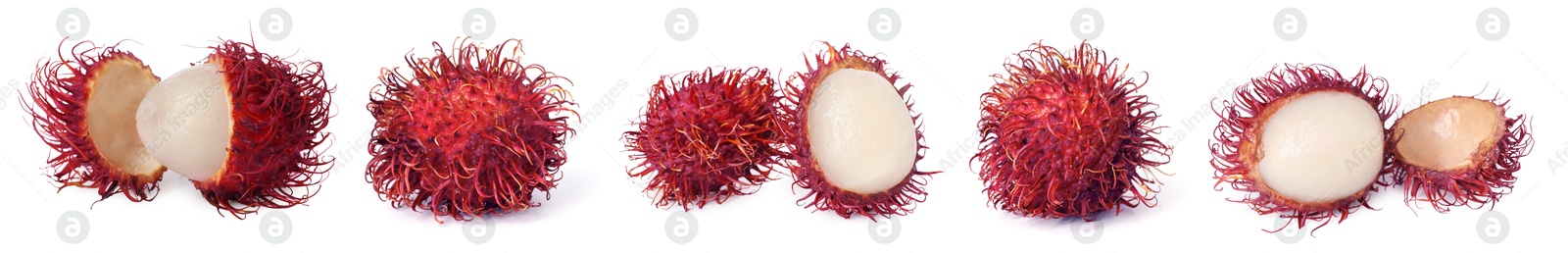 Image of Fresh tropical rambutan fruits isolated on white, set