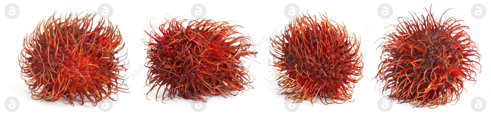 Image of Fresh unpeeled rambutan fruits isolated on white, set