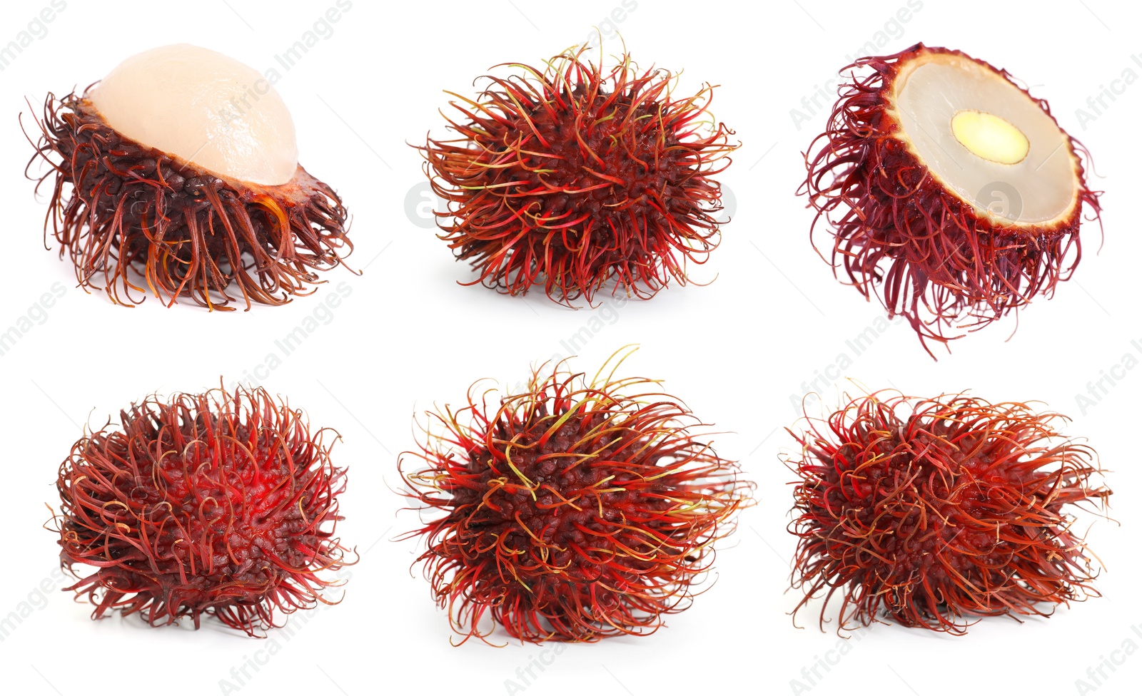 Image of Fresh tropical rambutan fruits isolated on white, set