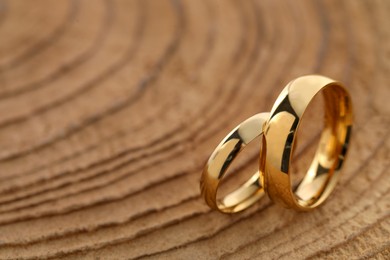 Photo of Beautiful golden wedding rings on tree stump, closeup. Space for text