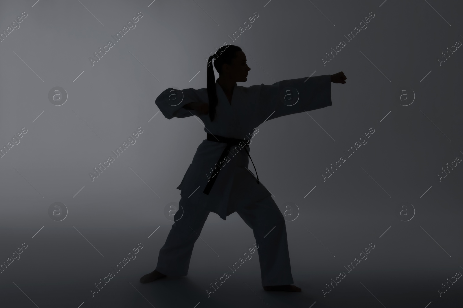 Photo of Silhouette of woman in kimono practicing karate on light background