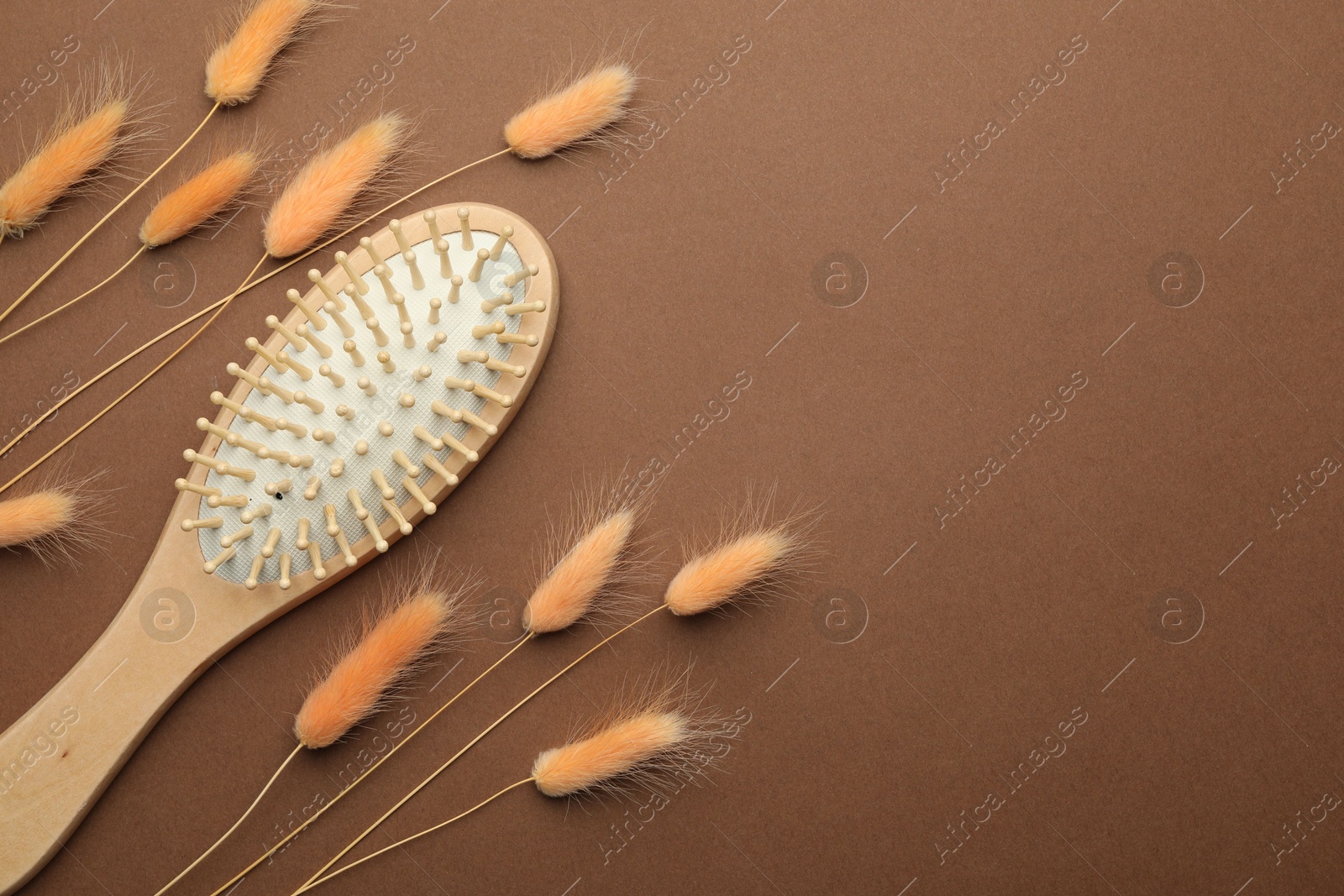 Photo of Wooden hair brush and spikes on brown background, top view. Space for text