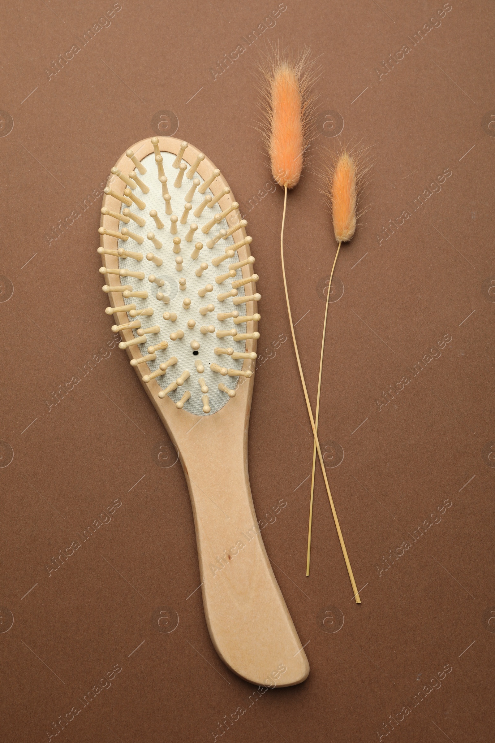 Photo of Wooden hair brush and spikes on brown background, top view