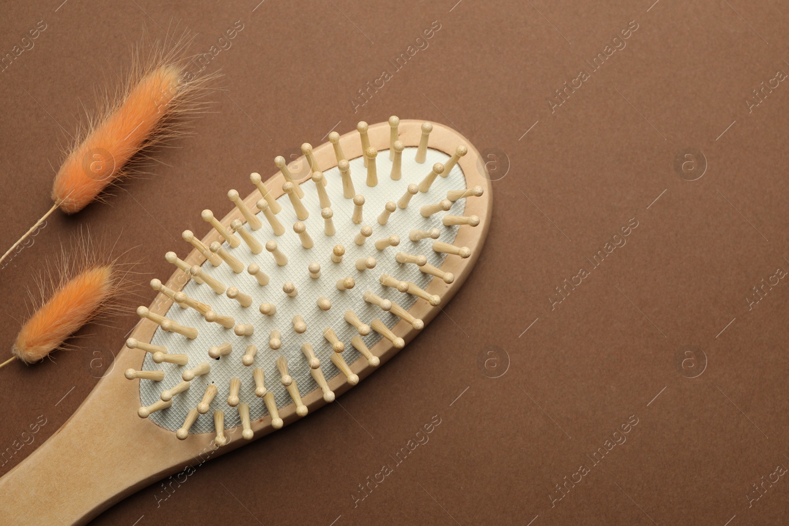 Photo of Wooden hair brush and spikes on brown background, top view. Space for text