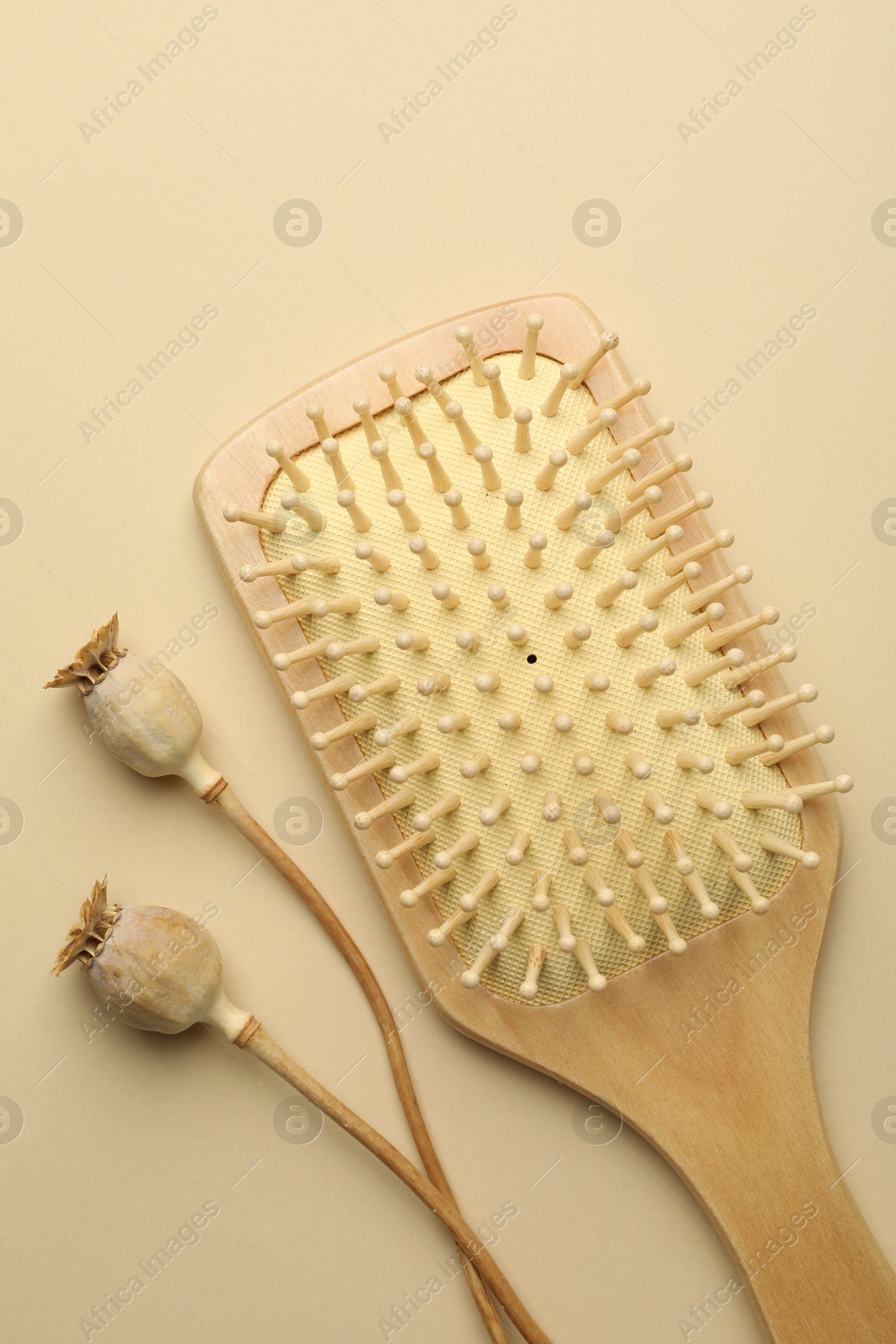 Photo of Wooden hair brush and poppy heads on beige background, top view