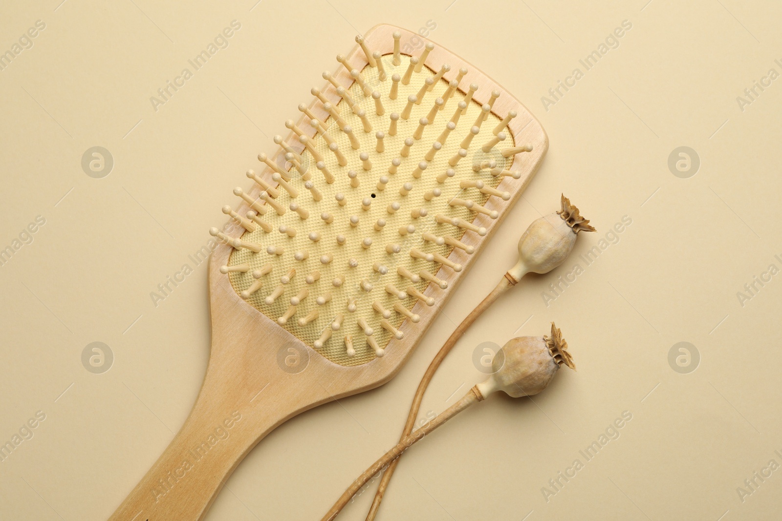 Photo of Wooden hair brush and poppy heads on beige background, top view