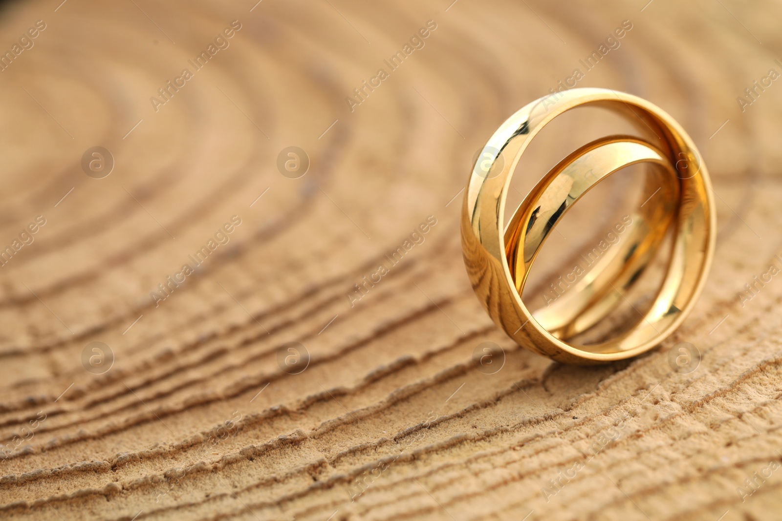 Photo of Beautiful golden wedding rings on tree stump, closeup. Space for text