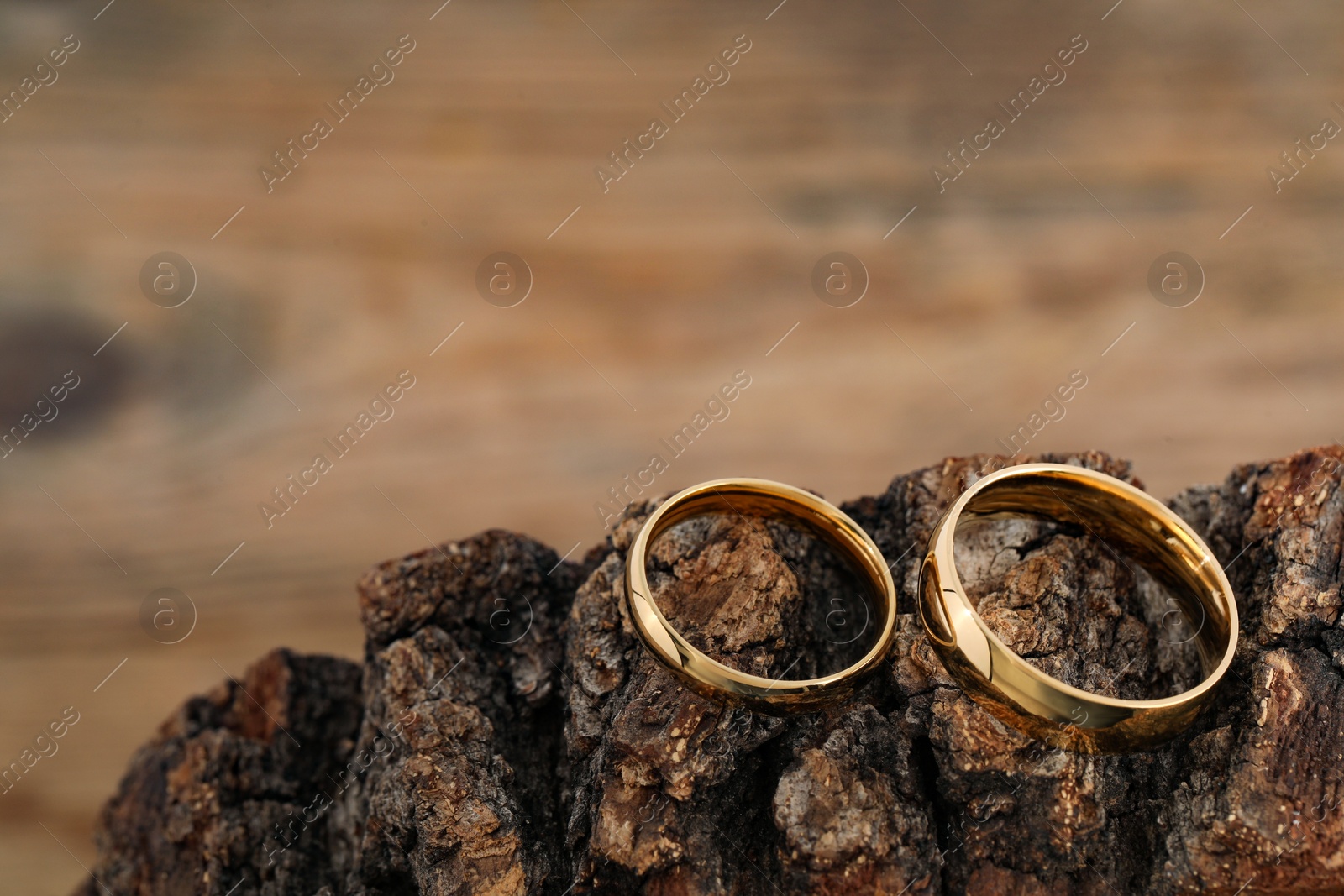 Photo of Beautiful golden wedding rings on tree bark, space for text