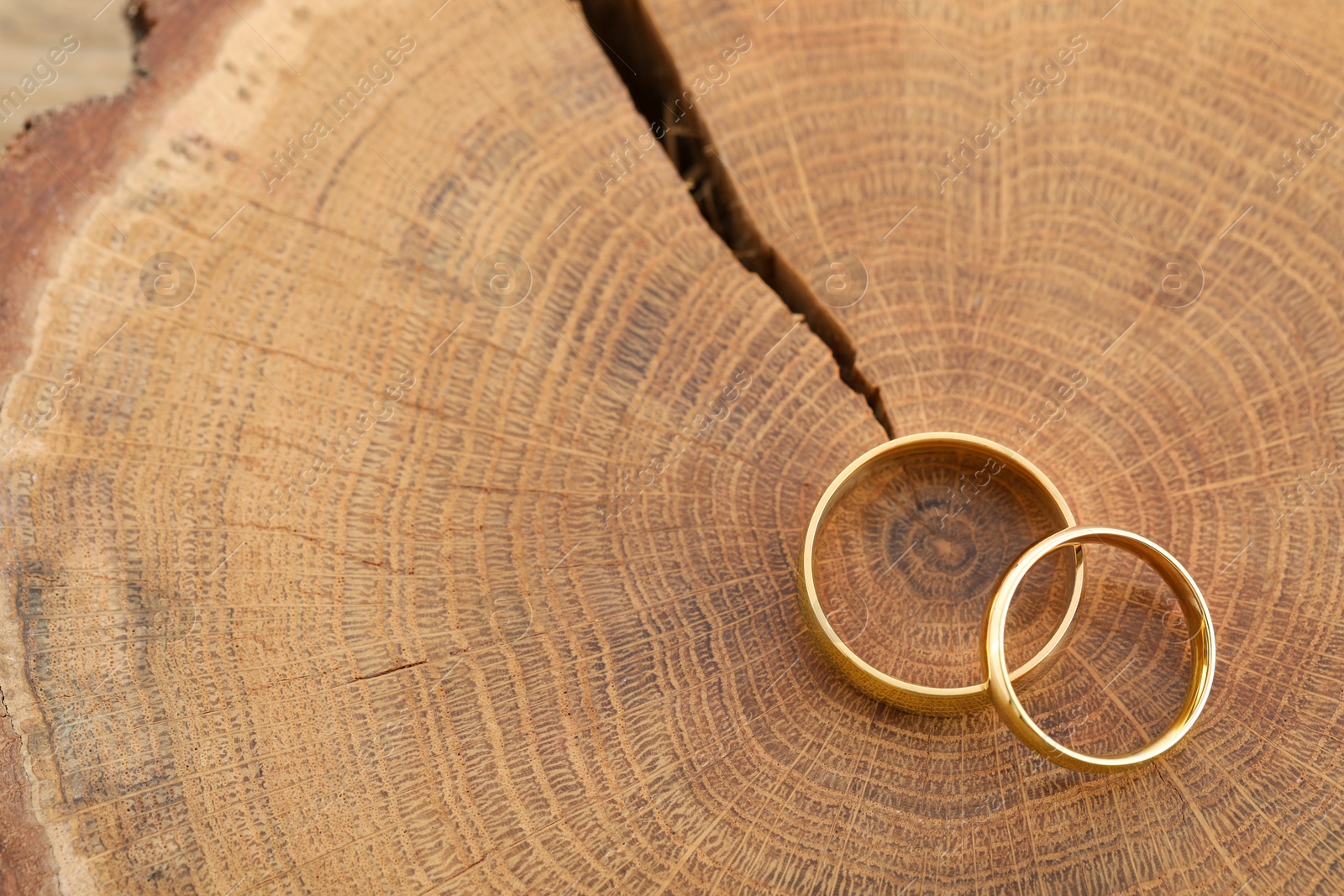 Photo of Beautiful golden wedding rings on tree stump, top view. Space for text