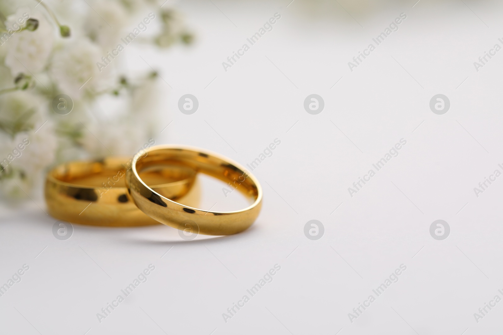 Photo of Golden wedding rings and flowers on white background, closeup. Space for text