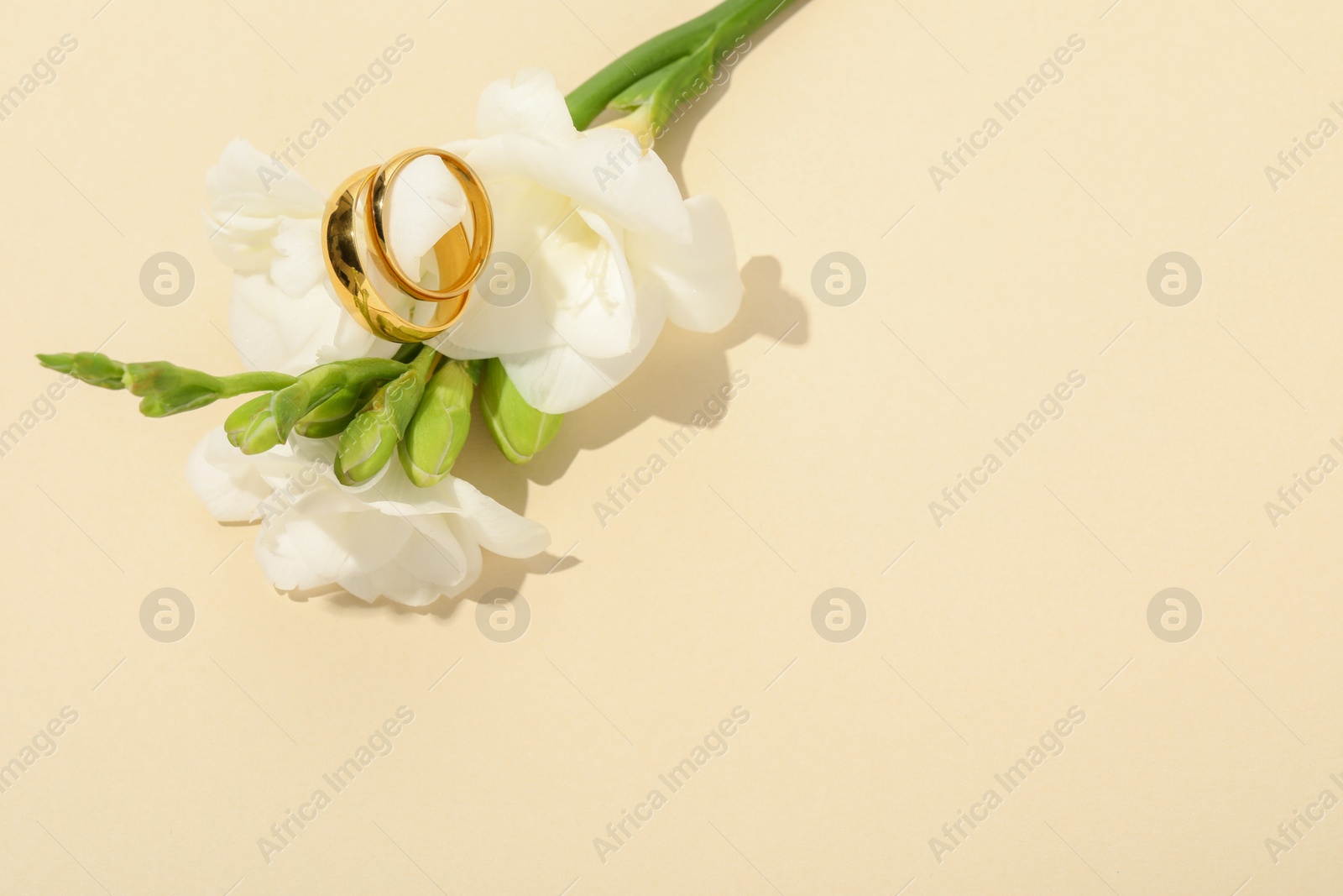 Photo of Golden wedding rings and flowers on beige background, space for text