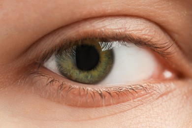 Macro view of young woman with beautiful eyes