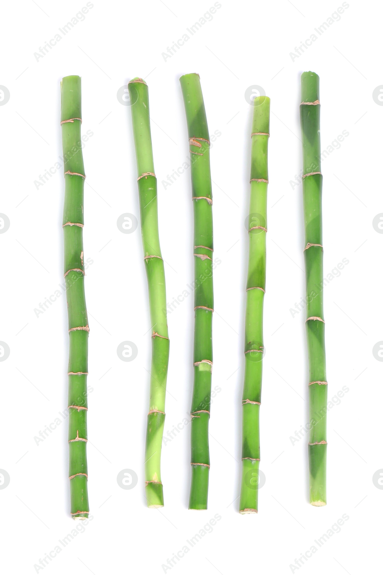 Photo of Stems of decorative bamboo plant isolated on white, top view