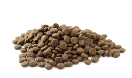 Photo of Pile of pet food isolated on white