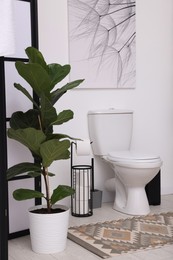 Photo of Folding screen, toilet bowl and houseplant in restroom