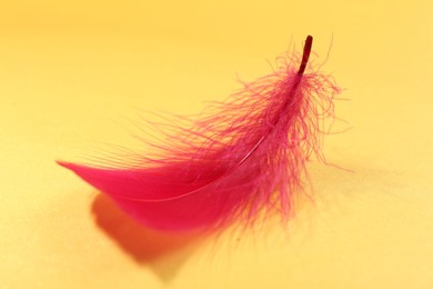 Photo of Fluffy red feather on yellow background, closeup