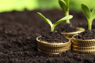 Photo of Stacks of coins with green plants on soil against blurred background, closeup and space for text. Money growth concept