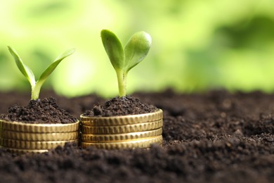 Photo of Stacks of coins with green plants on soil against blurred background, closeup and space for text. Money growth concept