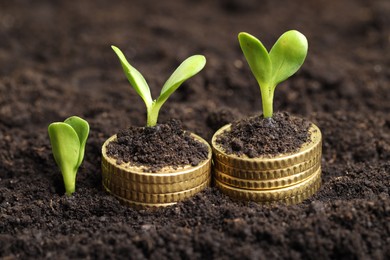 Photo of Stacks of coins with green plants on soil, closeup. Money growth concept