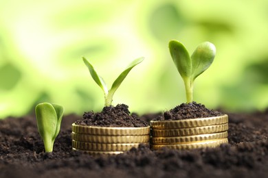 Stacks of coins with green plants on soil against blurred background, closeup. Money growth concept