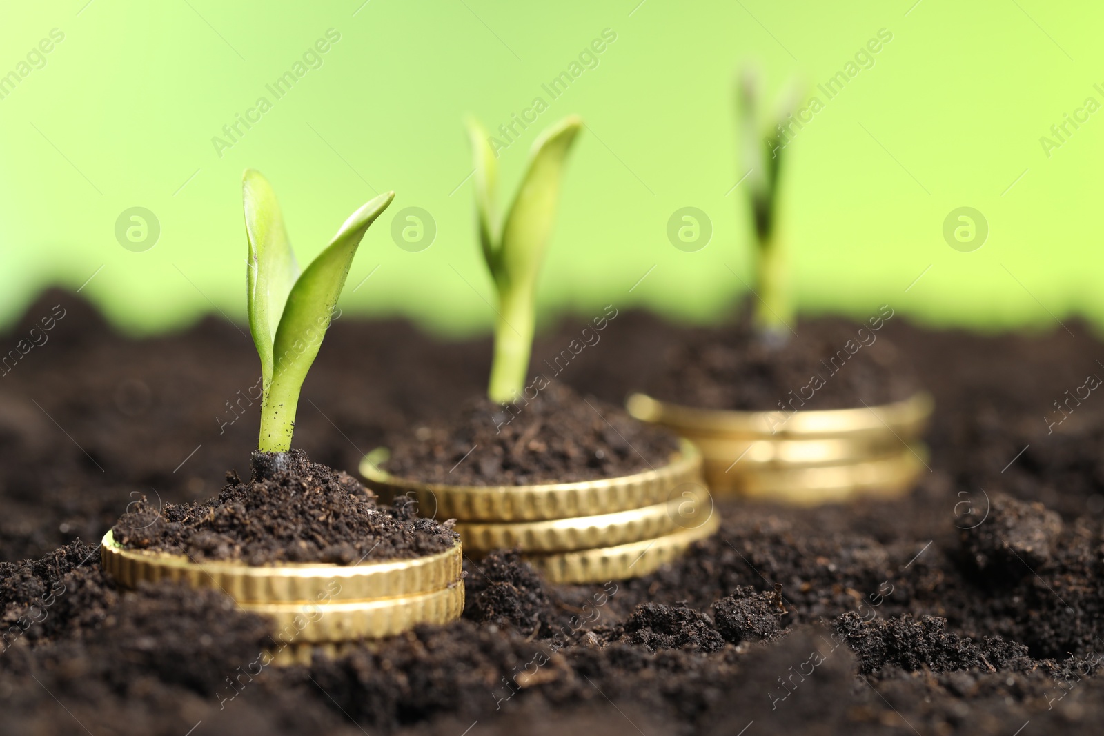 Photo of Stacks of coins with green plants on soil against blurred background, closeup. Money growth concept