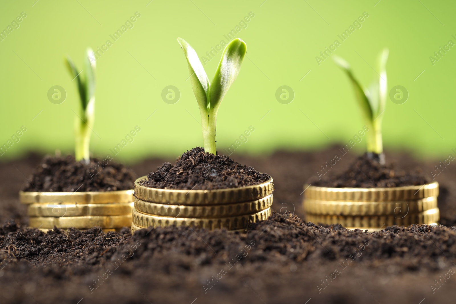 Photo of Stacks of coins with green plants on soil against blurred background, closeup. Money growth concept