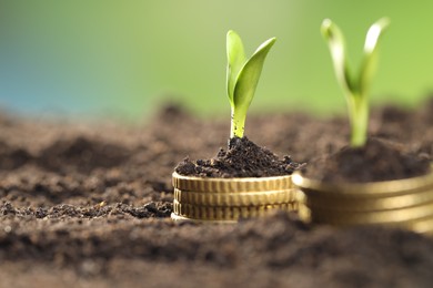 Photo of Stacks of coins with green plants on soil against blurred background, closeup and space for text. Money growth concept