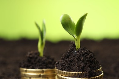 Photo of Stacks of coins with green plants on soil against blurred background, closeup. Money growth concept