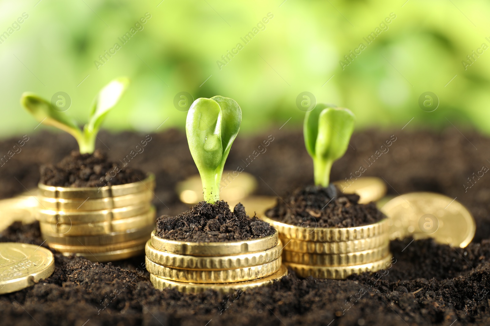 Photo of Stacks of coins with green plants on soil against blurred background, closeup. Money growth concept