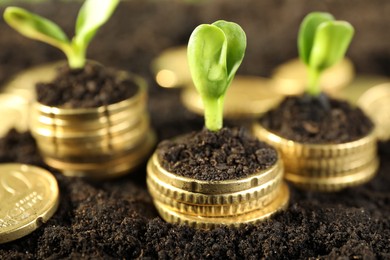 Photo of Stacks of coins with green plants on soil, closeup. Money growth concept