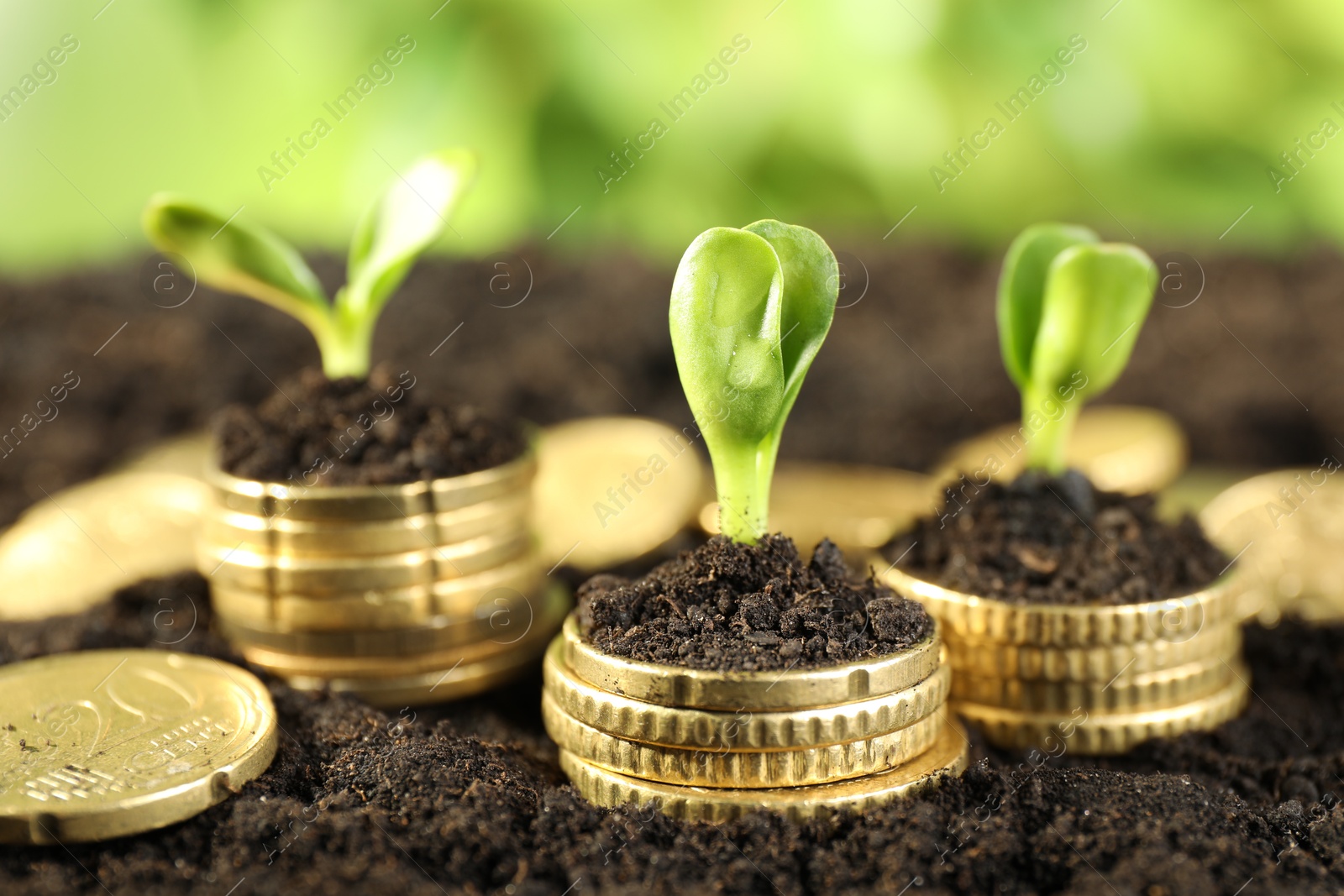 Photo of Stacks of coins with green plants on soil against blurred background, closeup. Money growth concept