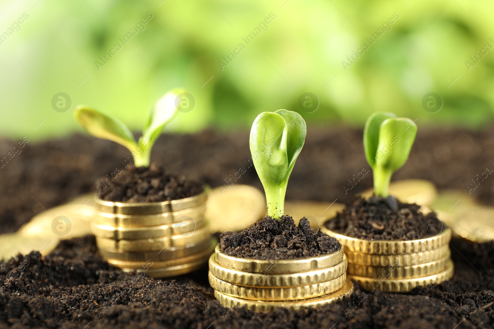 Photo of Stacks of coins with green plants on soil against blurred background, closeup. Money growth concept