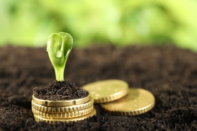 Photo of Coins with green plant on soil against blurred background, closeup. Money growth concept