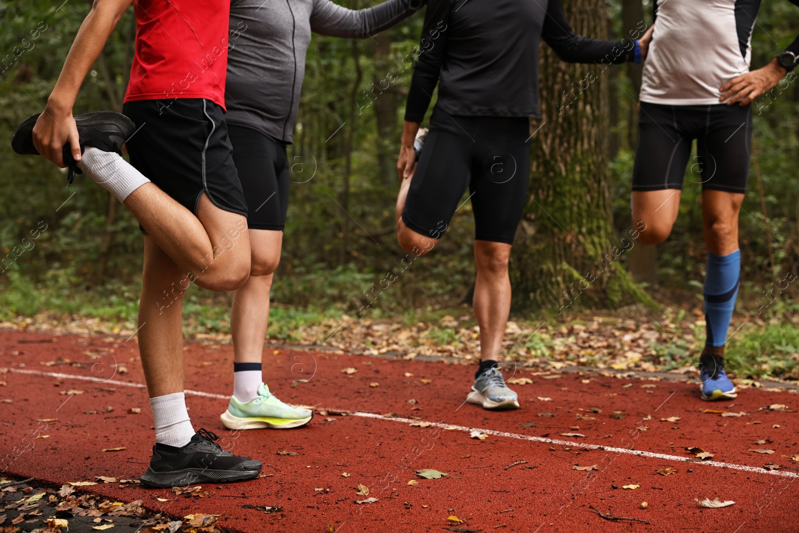 Photo of Group of people stretching in park. Healthy lifestyle