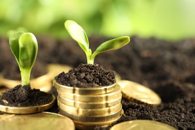 Photo of Coins with green plants on soil, closeup. Money growth concept