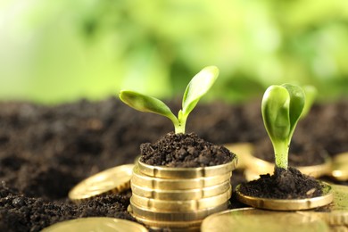 Photo of Stacks of coins with green plants on soil against blurred background, closeup. Money growth concept