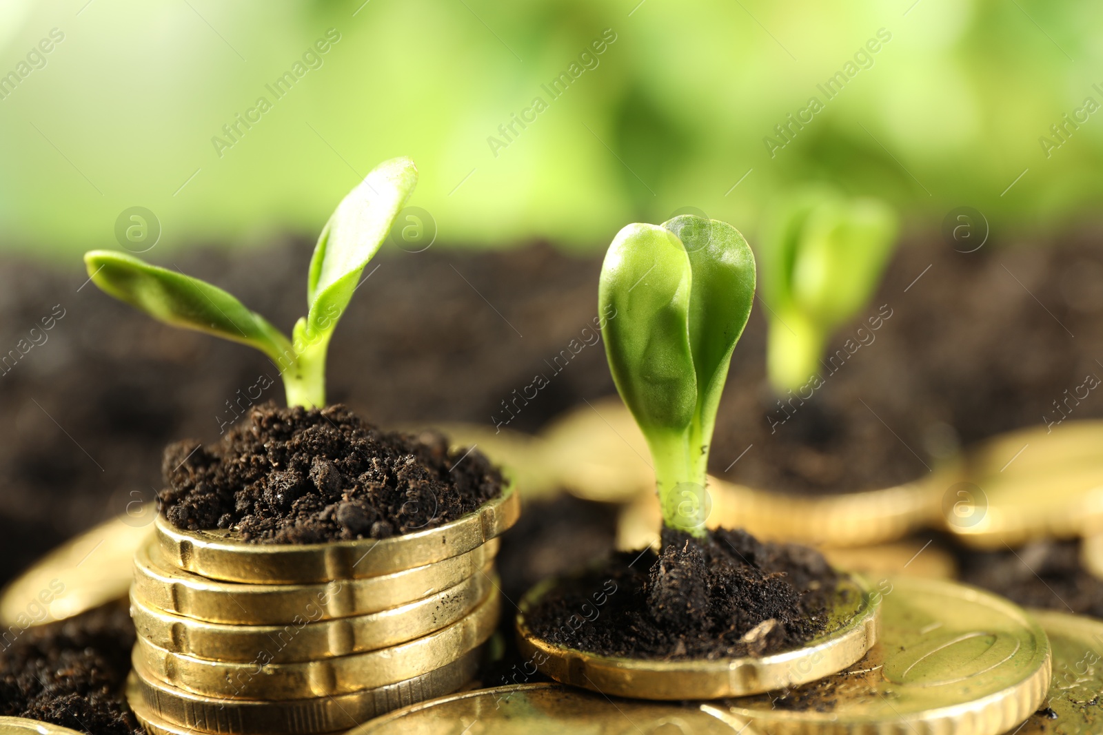 Photo of Stacks of coins with green plants on soil against blurred background, closeup. Money growth concept