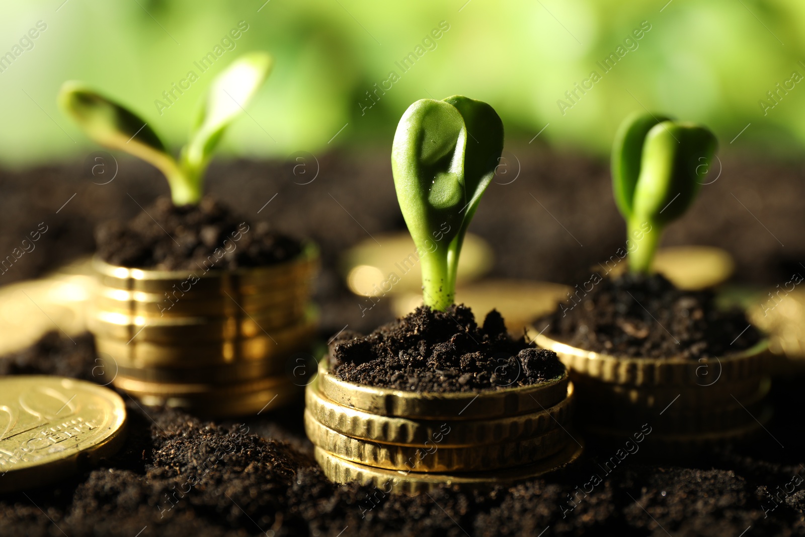 Photo of Stacks of coins with green plants on soil against blurred background, closeup. Money growth concept