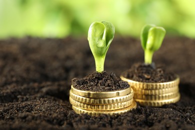 Photo of Stacks of coins with green plants on soil against blurred background, closeup and space for text. Money growth concept