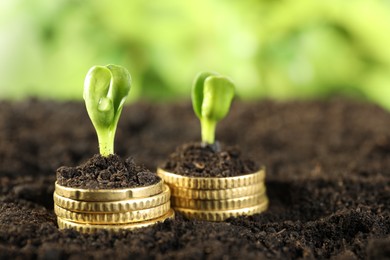 Photo of Stacks of coins with green plants on soil against blurred background, closeup. Money growth concept