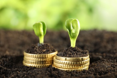 Photo of Stacks of coins with green plants on soil against blurred background, closeup. Money growth concept