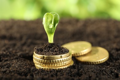 Photo of Coins with green plant on soil against blurred background, closeup. Money growth concept