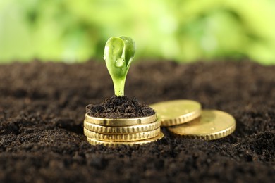 Photo of Coins with green plant on soil against blurred background, closeup. Money growth concept