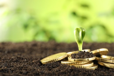 Photo of Coins with green plant on soil against blurred background, closeup. Money growth concept